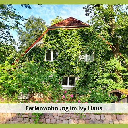 Apartament Ivy Haus Falkensee Zewnętrze zdjęcie